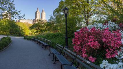 Central Park in spring