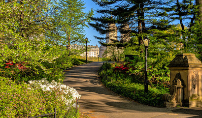 Central Park in spring