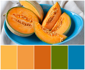 Design palette inspired by summer refreshing juicy orange melon in a blue plate. Designer pack with photo and swatches. Harmonious trendy colour combination: yellow, green, blue