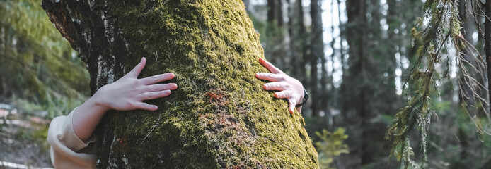 woman love nature hugging a pine tree, no deforestation concept and earth's day celebration,care for the earth, meditation,save our planet for a nice and better future - outdoor leisure activity