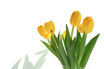 festive composition of yellow tulip flowers, greeting banner card for birthday, wedding, mother's day