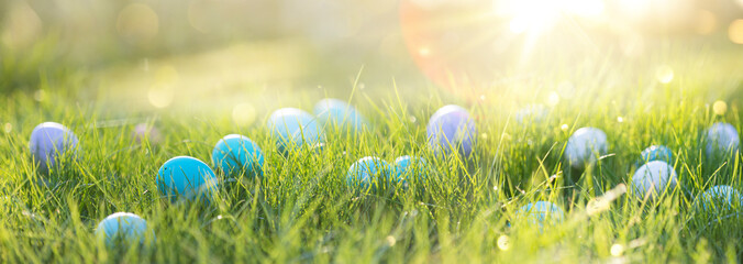 Easter eggs in the grass on a sunny background. Spring natural background - 580010939