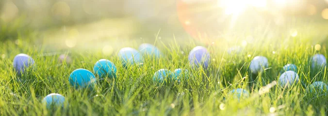 Plexiglas foto achterwand Easter eggs in the grass on a sunny background. Spring natural background © Pasko Maksim 