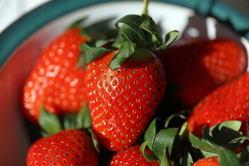 Macro image of a bowl of Strawberries, Derbyshire England
