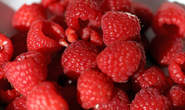 Macro image of a bowl of Raspberries, Derbyshire England
