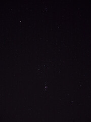 Orion Constellation in Winter Sky