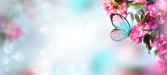 Flowering branches and petals on a blurred background and butterfly. - 580021583