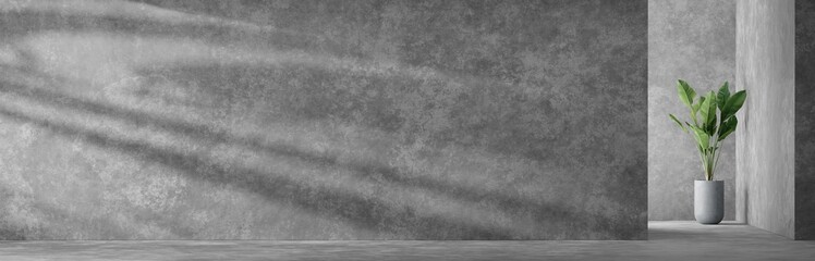 Empty abstract concrete room interior with plant. 3d render