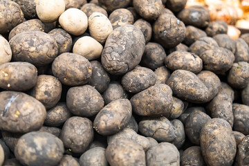 Potatoes with deep cracks and traces of spoilage are for sale. Problem with staple foods.