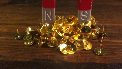 Using a horse shoe magnet to attract and lift steel drawing pins. Metals iron and steel attraction and magnetism.