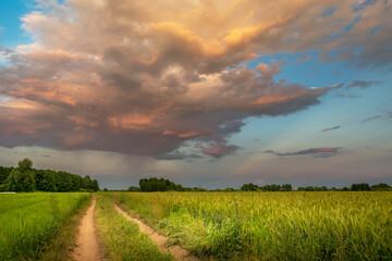 Dirt road next to a field with grain and clouds highlighted at sunset