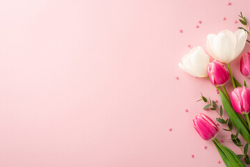Mother's Day atmosphere concept. Top view photo of bouquet of spring flowers pink white tulips and heart shaped sprinkles on isolated pastel pink background with empty space