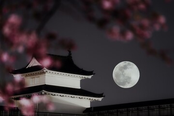 城に満月の夜桜