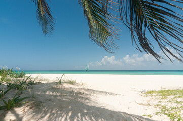 Naklejka premium Tropical beach with palm trees and white sand with a sailboat on the horizon. Dream vacation concept