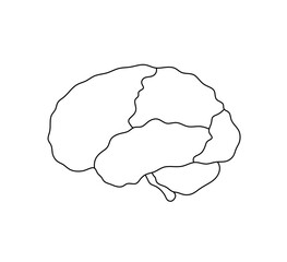 Vector isolated one single human brain divided into   segments side view template colorless black and white contour line easy drawing

