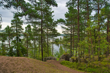 Fototapeta premium Beautiful blue lake and pine forest, Park Mon Repos, Vyborg, Russia