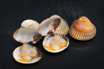 Galician cockles on black background