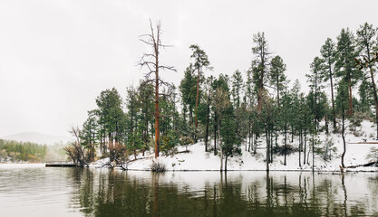 snowy lake in the forest