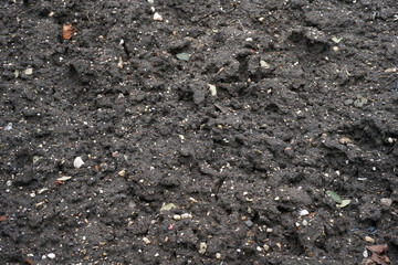 Wet clay, chernozem. We also see small stones.