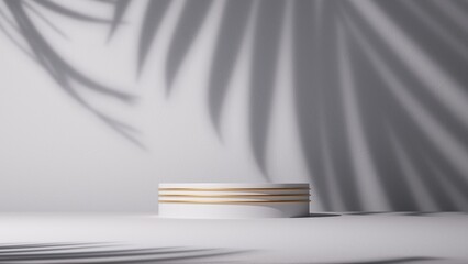 3d render, abstract background with tropical leaves shadow and empty podium. Minimalist scene with...