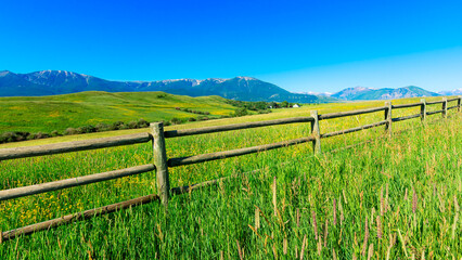 Fototapeta na wymiar summer mountain landscape with fence