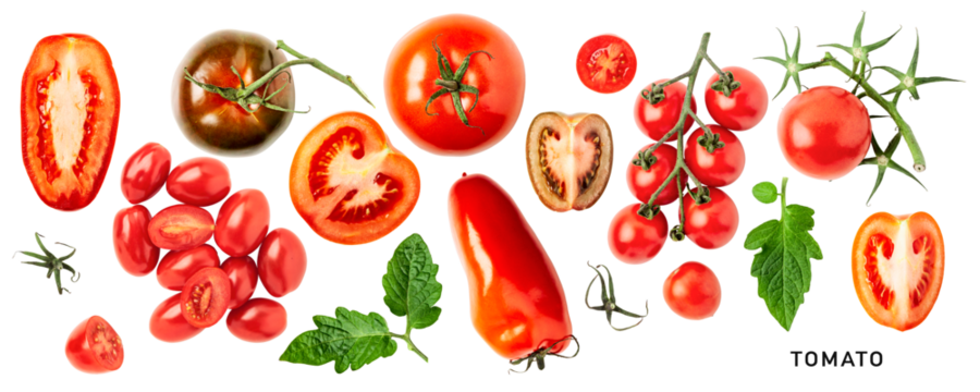 Fresh garden tomatoes with leaves set. PNG isolated with transparent background. Flat lay, top view. Without shadow.