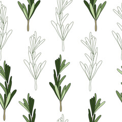 Fototapeta na wymiar Seamless pattern of green rosemary leaves. Medicinal plant. A fragrant plant for seasoning. Rosemary herb for a design element.
