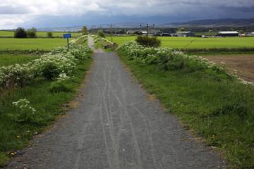 Surrounding views from the formatine and buchan way - section between Udny station and Dyce - Aberdeenshire - Scotland - UK