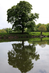 Right banks of the river Don - Dyce - Aberdeen city - Scotland - UK