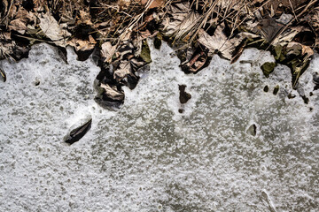 Spring ground covered with thawing snow