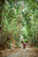 a male elementary student riding his bike through the country road alone with a lot of tree around him