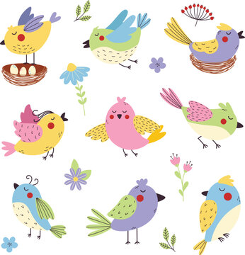 Set of beautiful and colorful birds. A spring bird in the nest. The bird flies. Vector birds for postcards and T-shirts