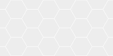 Background with hexagons . Abstract background with lines . white texture background . white and hexagon abstract background. white paper texture and futuristic business .