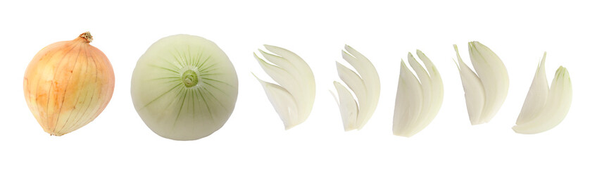 Set of onion and sliced onion isolated on white, transparent background, png - obrazy, fototapety, plakaty