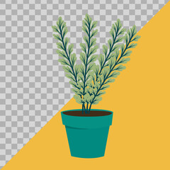 flowers in pots. illustration flat image. vector hand drawn