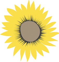 Minimalist Yellow Sundlower Vector Floral Illustration