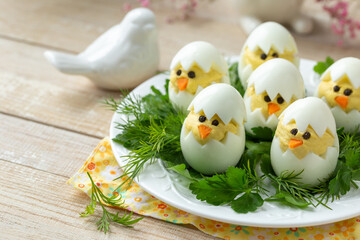 Funny eggs chicks. Easter idea for breakfast