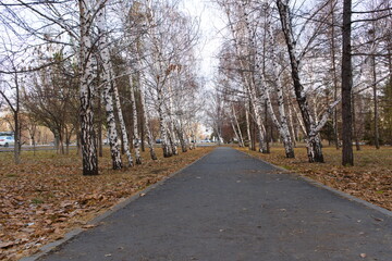 road in the park