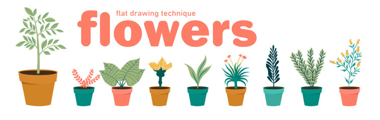 Fototapeta premium set flowers in pots. illustration flat image. vector hand drawn