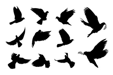Dove flying silhouette icon vector. Pigeon peace easter symbol element design.