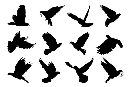 Dove flying with olive branch twig silhouette vector pigeon peace and easter symbol collection.