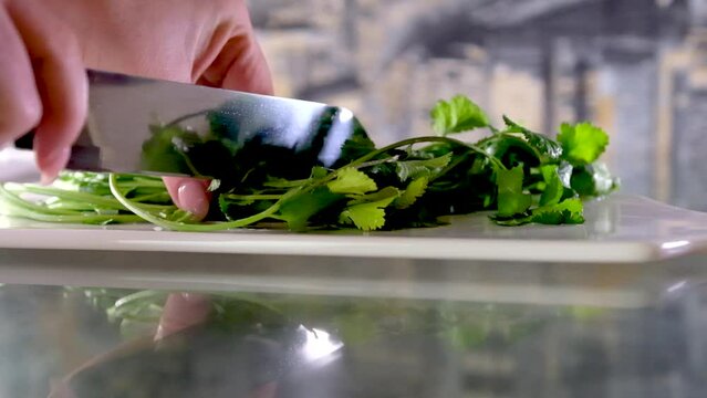 Parsley or garden parsley herb species of flowering cilantro plant Mediterranean chef wearing gloves chopping parsley on a cutting board and cleaning the knife. Safety and cooking concept.