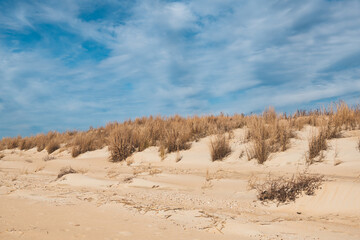 The sand dunes along the beach at "The Point" in Cape Henlopen State Park in Lewes, Delaware. 