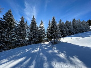 A magical play of sunlight and shadow during the alpine winter on the snowy slopes above the mountine Swiss tourist resort of Arosa - Canton of Grisons, Switzerland (Schweiz)