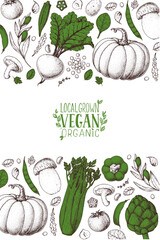 Vegan food frame. Hand drawn vector illustration. Menu design template. Vegan food sketch. Vintage design template. Product design. Great for packaging, recipe book, menu. Vegetarian food sketch.