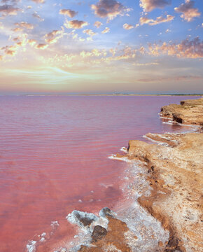 Pink extremely salty Syvash Lake, colored by microalgae with crystalline salt depositions. Also known as the Putrid Sea or Rotten Sea. Ukraine, Kherson Region, near Crimea and Arabat Spit.
