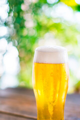 タンブラーグラスにビールを注ぐ