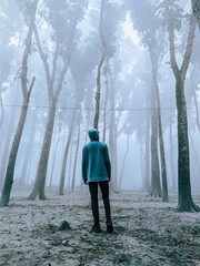 walking in the forest