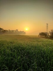 Peaceful Summer Sunrise at a Beautiful Countryside Village, blessed in Agricultural Nature, Outdoor Scenery and Landscape. 