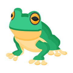 Frog 